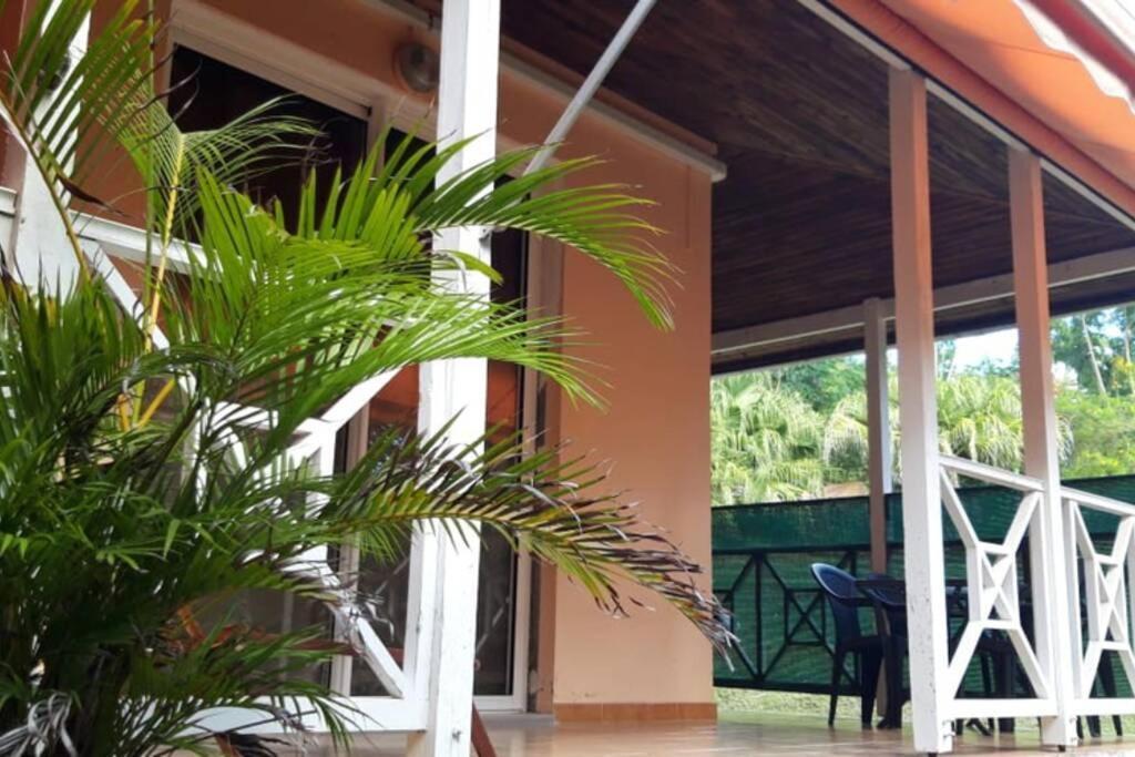 Residence Ti'Keol - Appartements Avec Terrasse 2 A 4 Personnes, Piscine Sainte-Anne Eksteriør billede